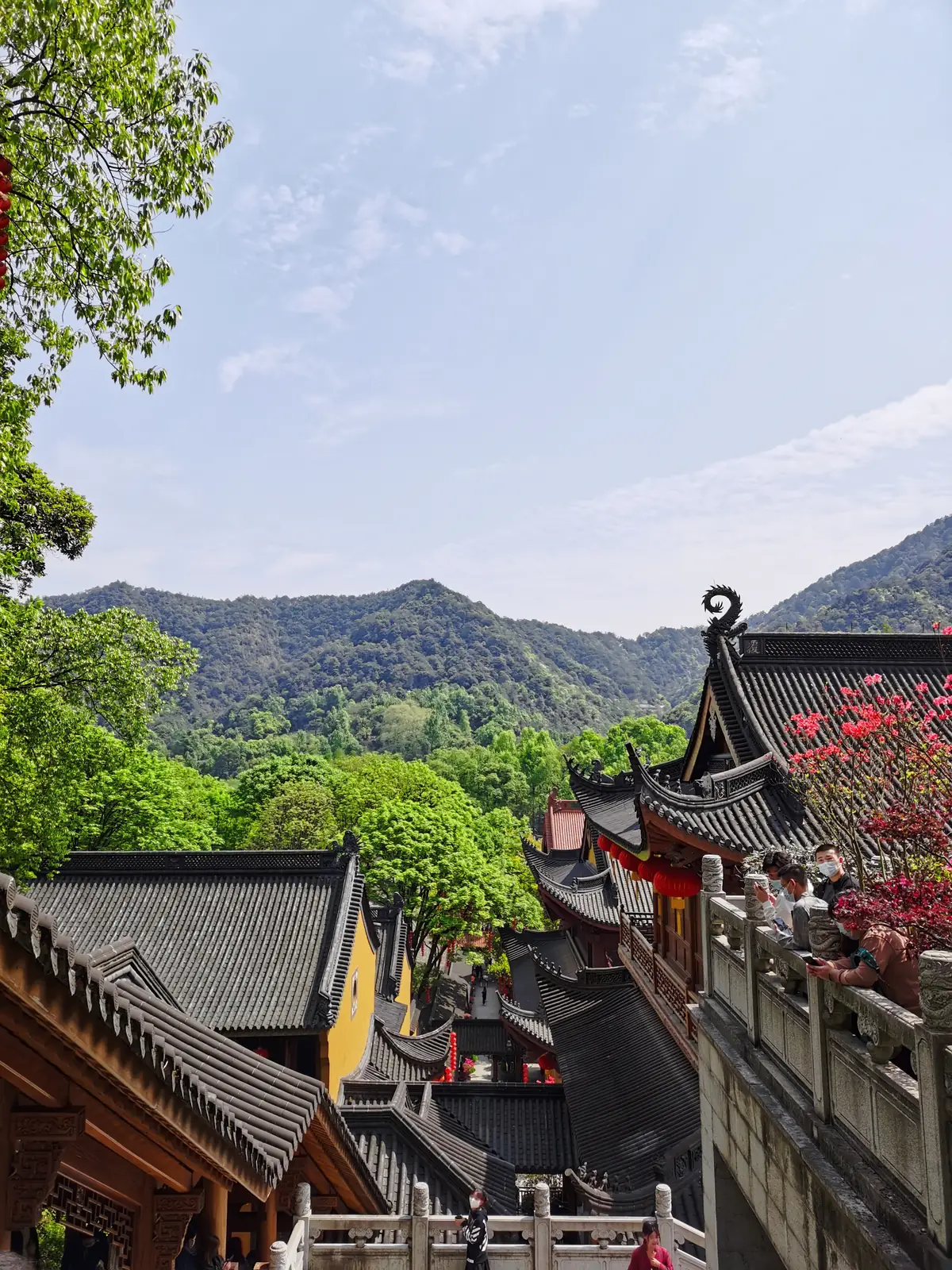 Faxi Temple roofs and yellow walls with wooded hills behind